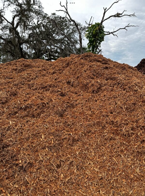 CYPRESS MULCH IN BULK