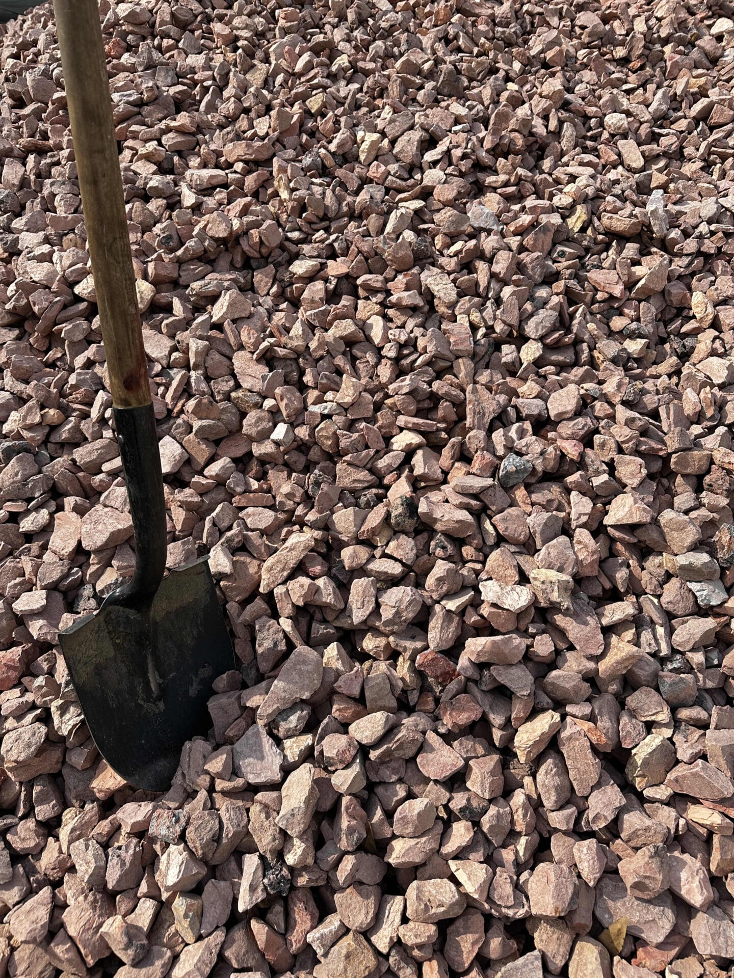 ROCK FL SUNBURST BULK SCOOP - Robbins Nursery