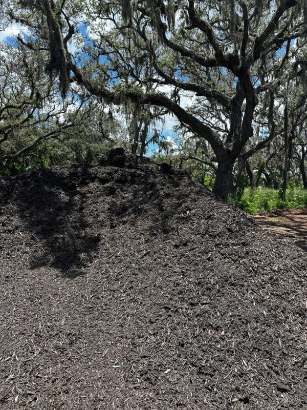 CHOCOLATE BROWN MULCH IN BULK